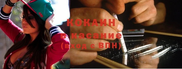 бошки Бронницы