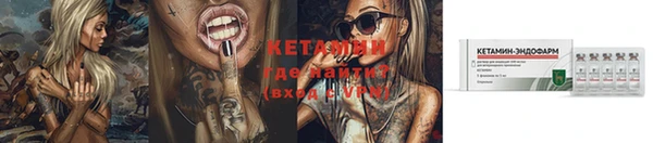spice Бородино